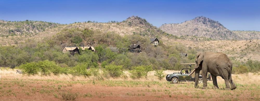 Tshukudu Bush Lodge Ледіг Екстер'єр фото
